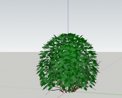 ��ľ��SketchUpģ��