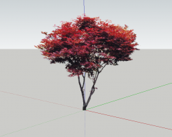 ���SketchUpģ��