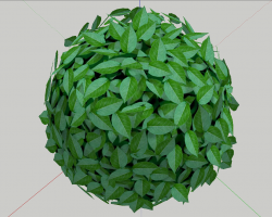 ��ľ��SketchUpģ��