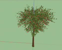 ֲ��SketchUpģ��