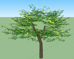 <i>������SketchUpģ��</i>
