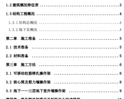 ����ǽ��ֽ������ʩ������ 11p