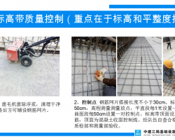 桥面铺装质量控制点总结 （PPT格式）