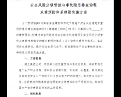 ˫��Ԥ����ϵ����ʵʩ���� 18P