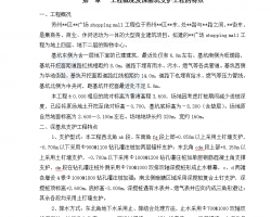 �����֧������ʵʩϸ�� 16P