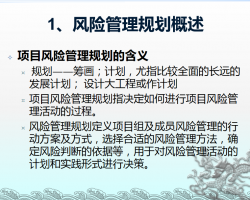 ��Ŀ���չ����滮 24P