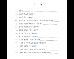 סլ¥�ݶ�ά�޹���ʩ���б�Ͷ���ļ� 11P