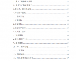 ĳ̫���ܵ������޹�˾��������ʩ����֯��� 115P