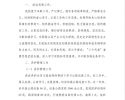 ��ƪ�����������ܽ᷶�� 31P