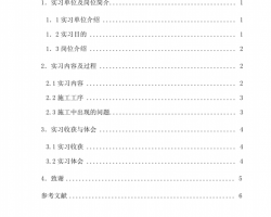 施工员毕业顶岗实习报告（PDF格式）8P