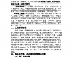ũ�õ����ι���ʩ�������ܽᱨ��PDF 36P