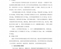 ���ʩ����Ŀ�����ܽᱨ��PDF 11P