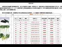 ������ϼ��۸�