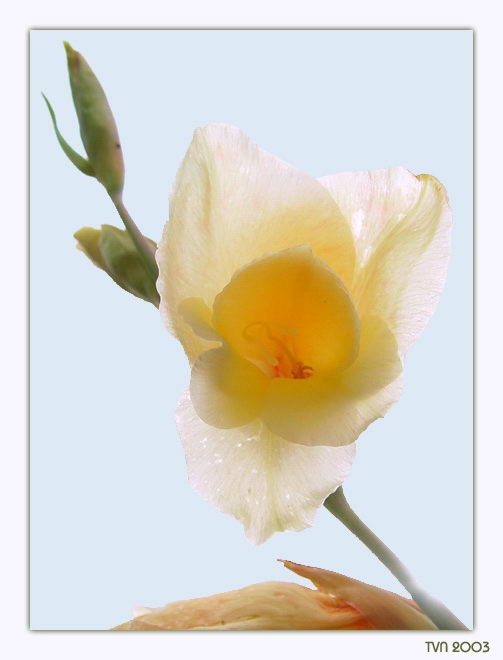 �����¼���