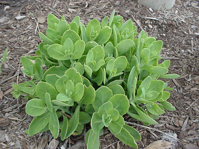 �˱�����